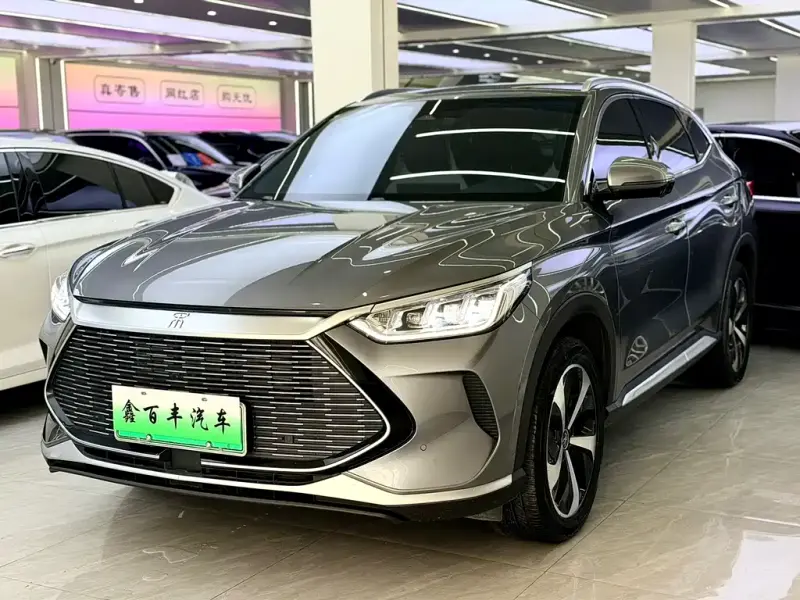 BYD PLUS New Energy, 2023