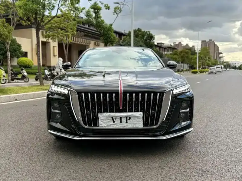 Hongqi H5, 2024