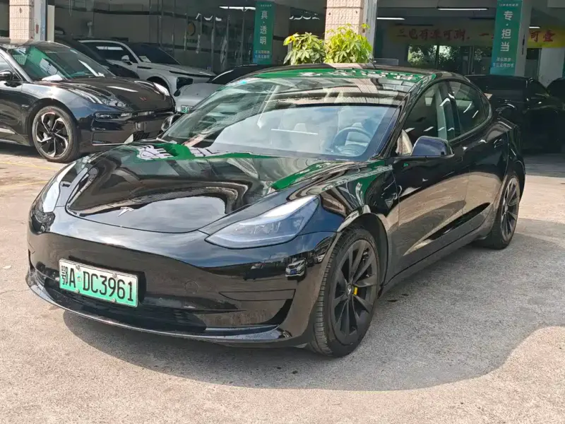 Tesla Model 3, 2021