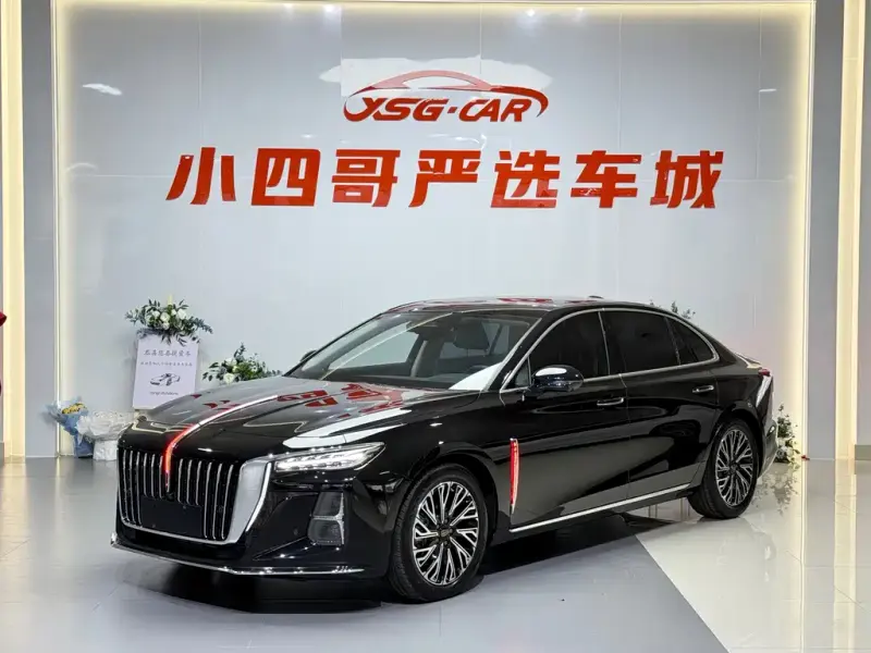 Hongqi H5, 2024