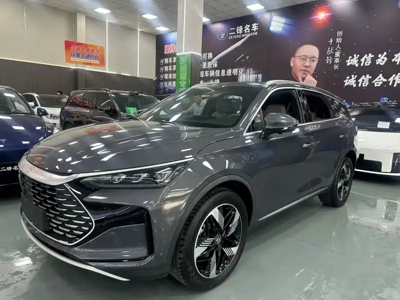 BYD Tang New Energy, 2024
