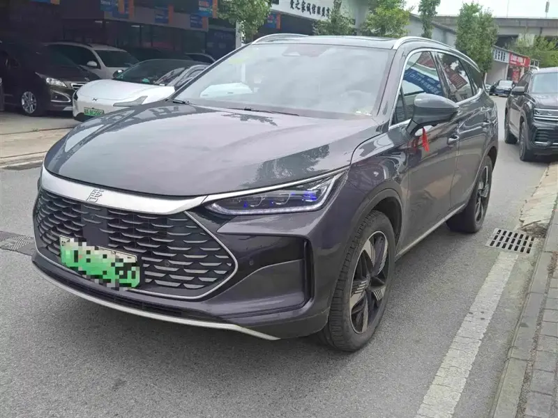 BYD Tang New Energy, 2024