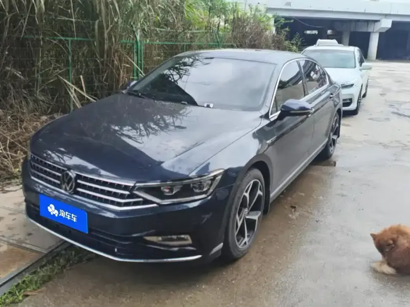 Volkswagen Magotan, 2023