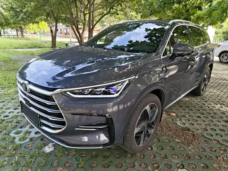 BYD Tang New Energy, 2024