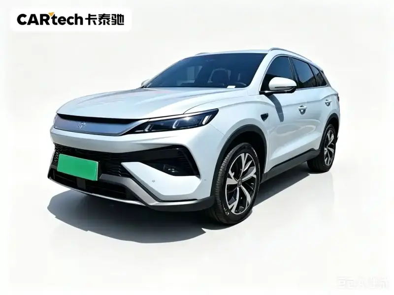 BYD Pro New Energy, 2026