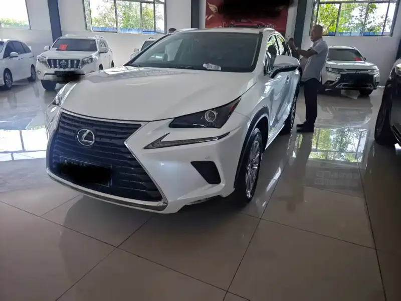 Lexus NX, 2019