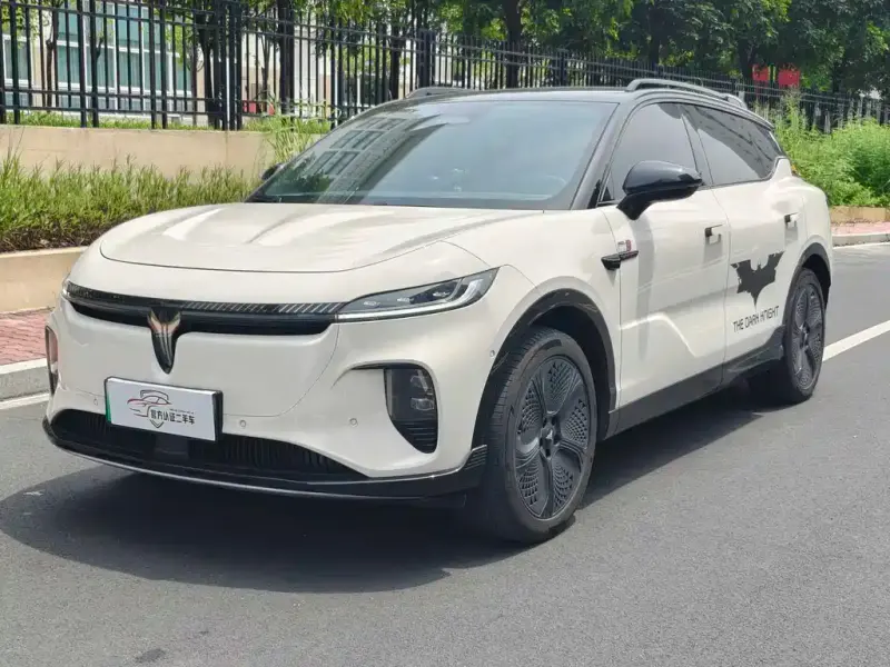 VOYAH Zhiyin, 2025