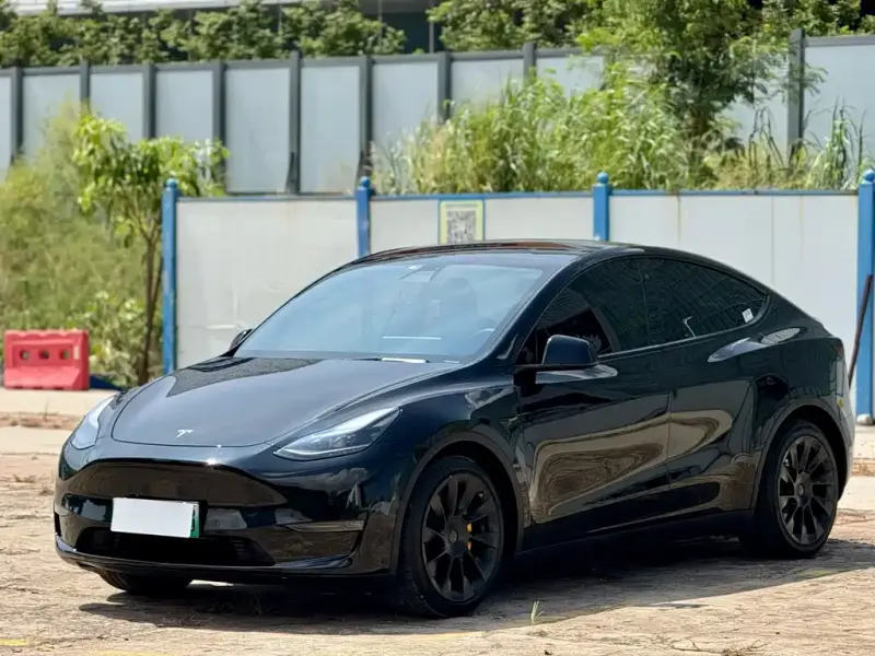 Tesla Model Y, 2021