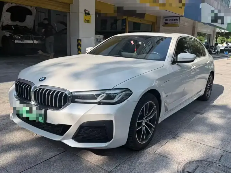 BMW 5 Series New Energy, 2021