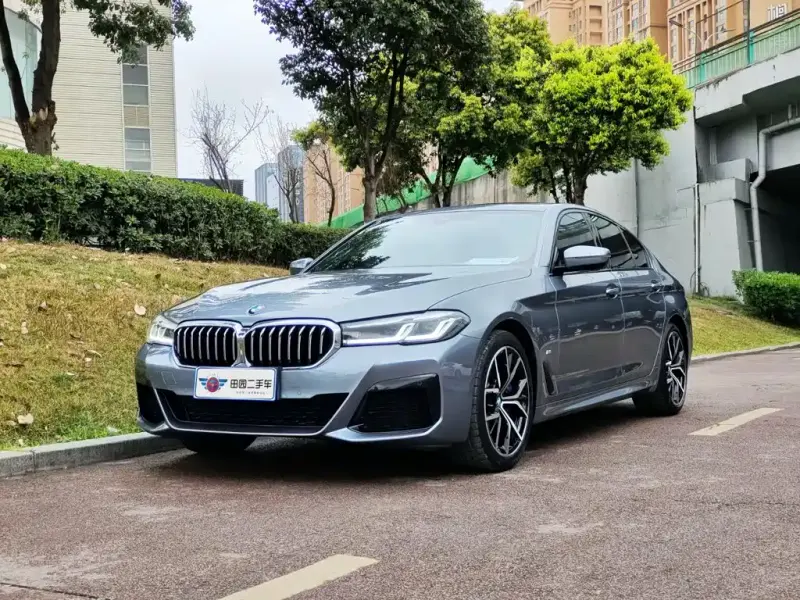 BMW 5 Series (Import), 2021
