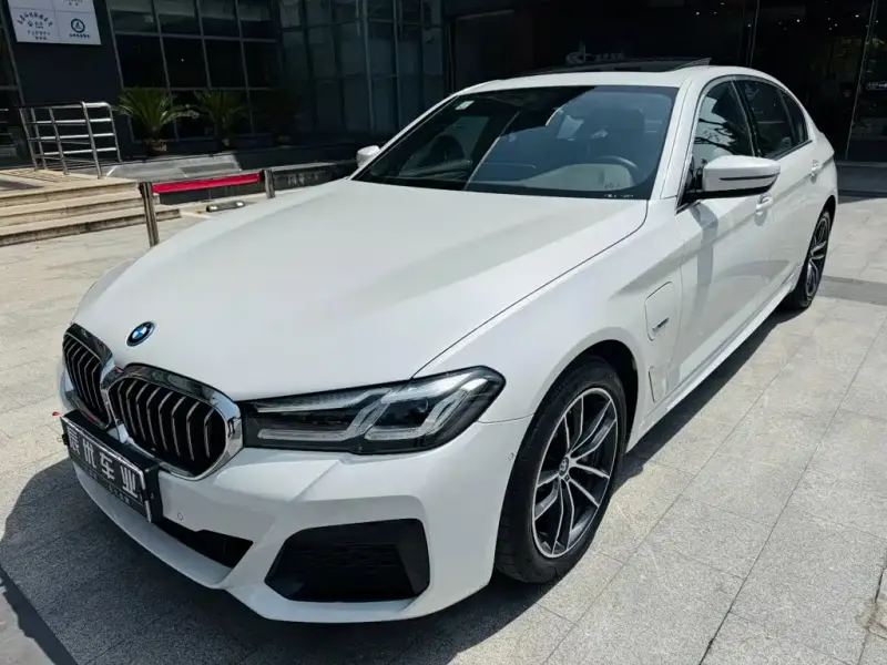 BMW 5 Series New Energy, 2021