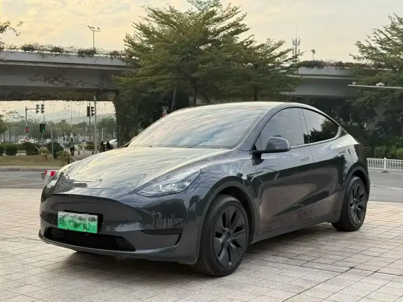 Tesla Model Y, 2024