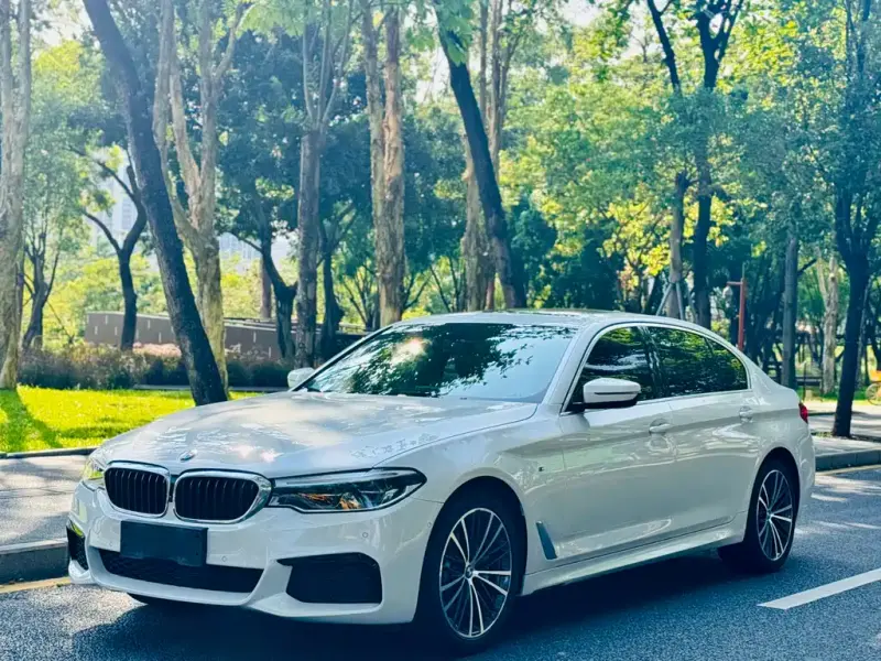 BMW 5 Series, 2020
