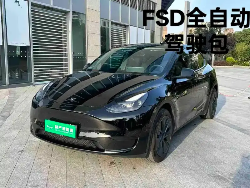 Tesla Model Y, 2024