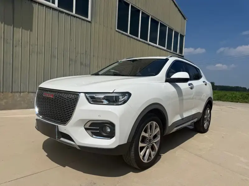 Haval H2s, 2018