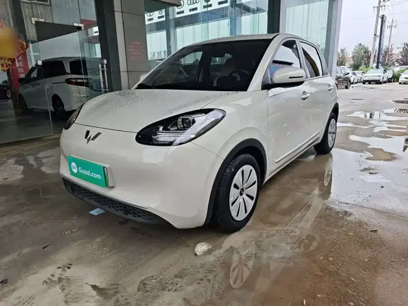 Wuling Bingo, 2023