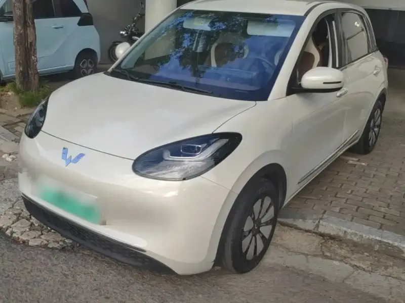 Wuling Bingo, 2024