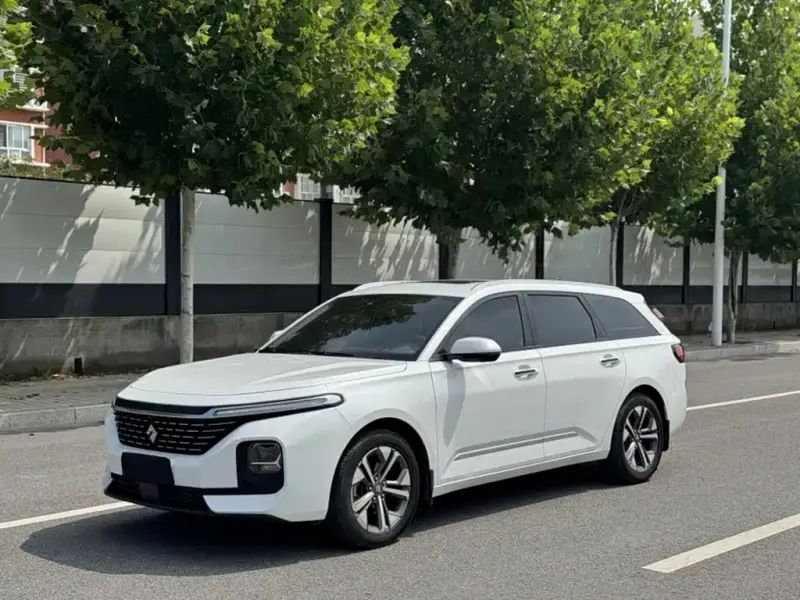 Baojun Valli, 2021