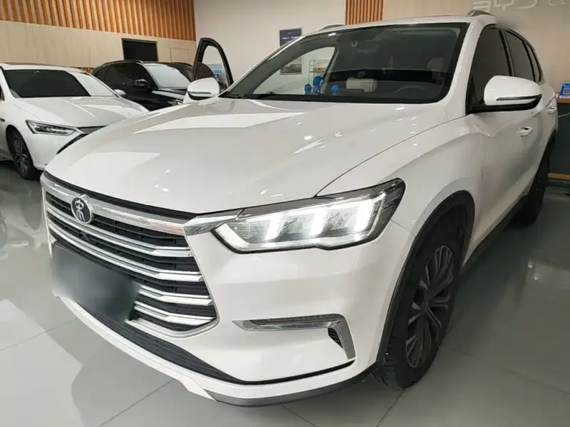 BYD Pro New Energy, 2019