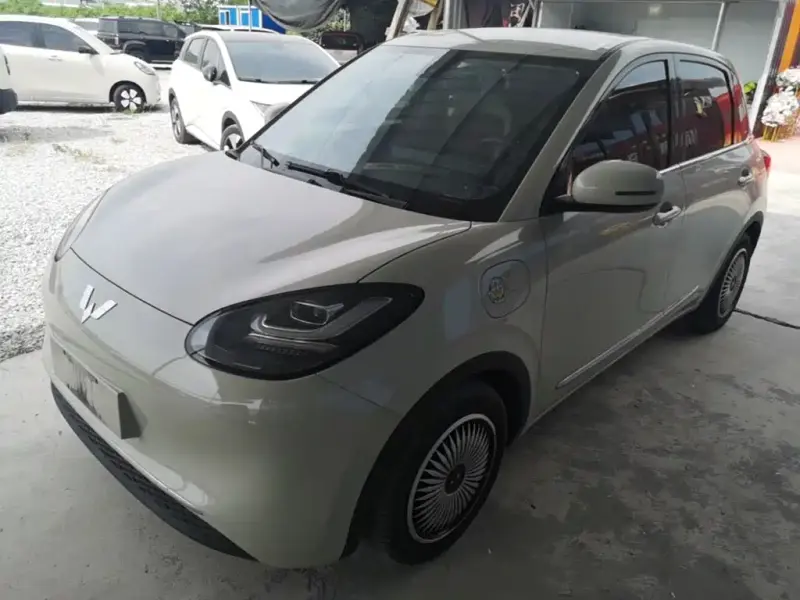 Wuling Bingo, 2023