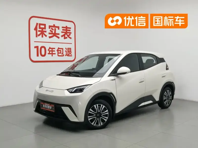 BYD Seagull, 2024