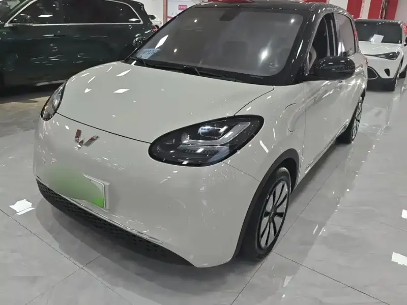 Wuling Bingo, 2024