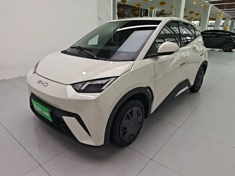 BYD Seagull, 2024