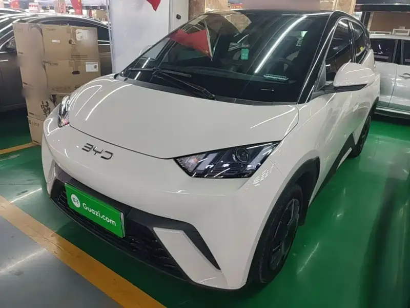BYD Seagull, 2024