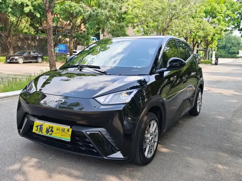 BYD Seagull, 2024
