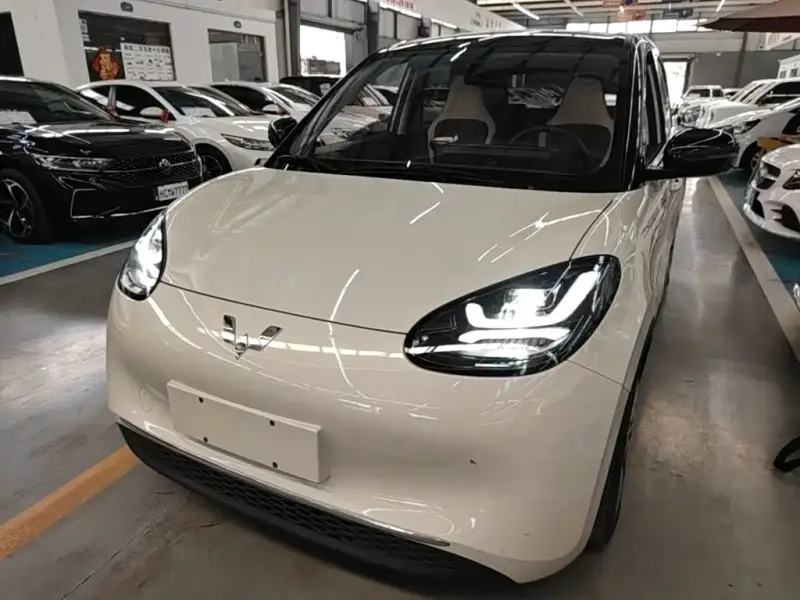 Wuling Bingo, 2024