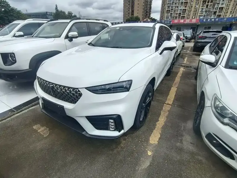 Wey VV7, 2019