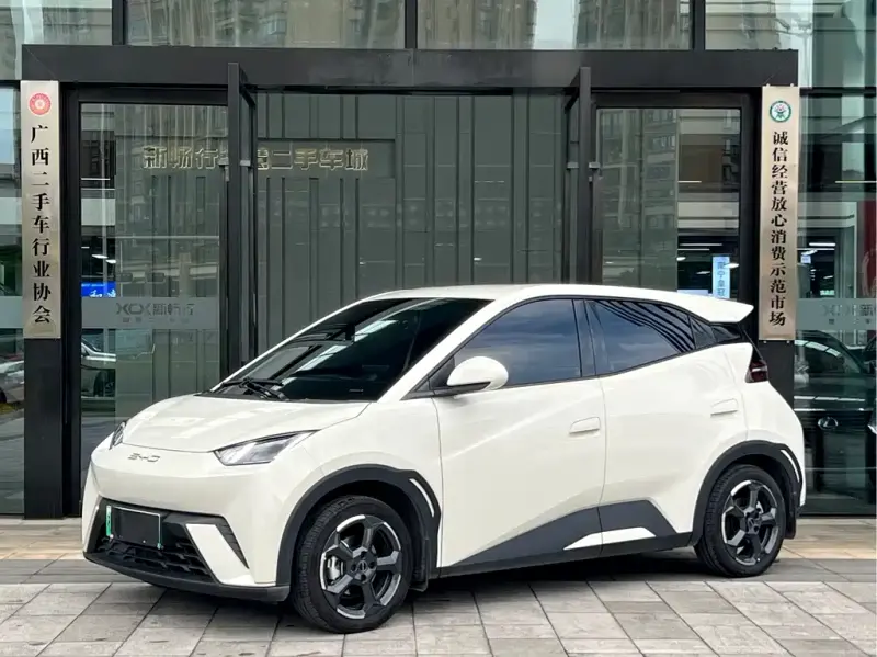 BYD Seagull, 2023