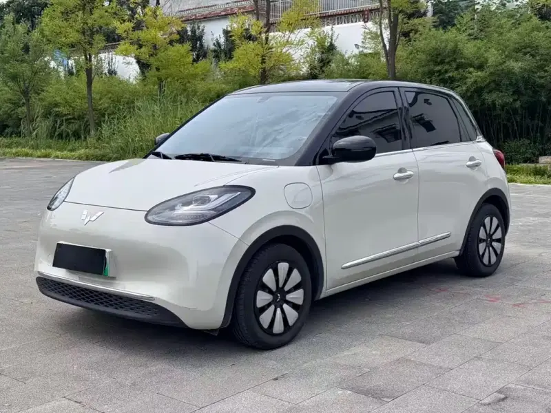 Wuling Bingo, 2024