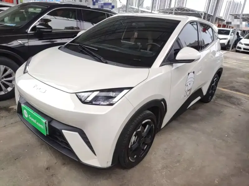 BYD Seagull, 2024