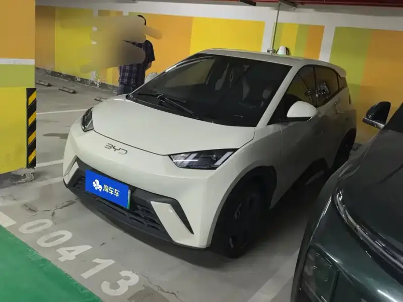 BYD Seagull, 2024