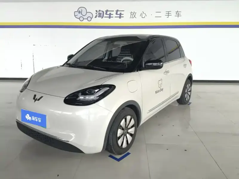 Wuling Bingo, 2024