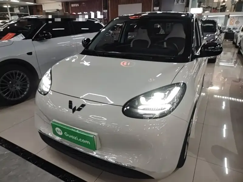 Wuling Bingo, 2023