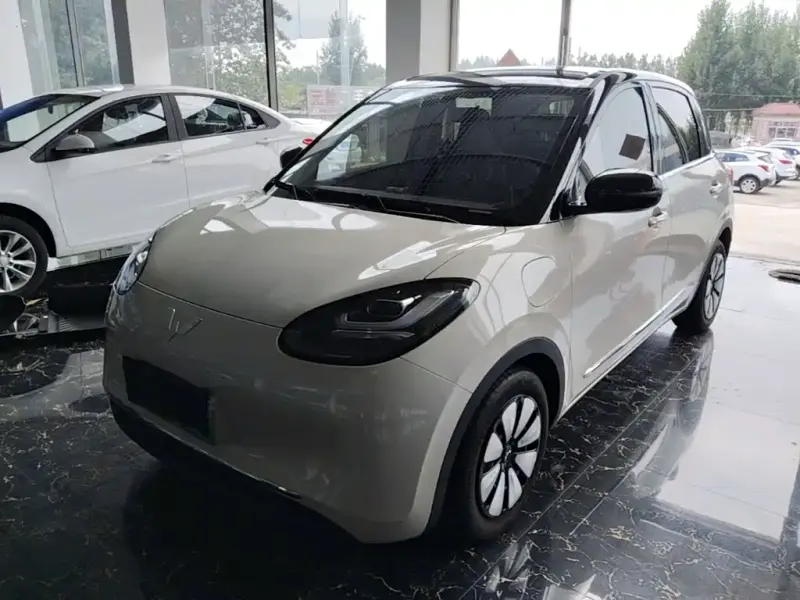 Wuling Bingo, 2024