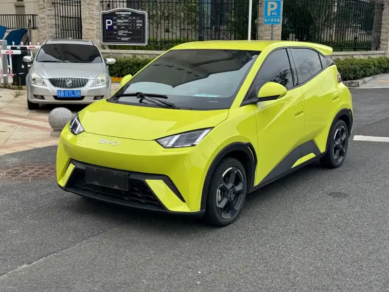 BYD Seagull, 2024