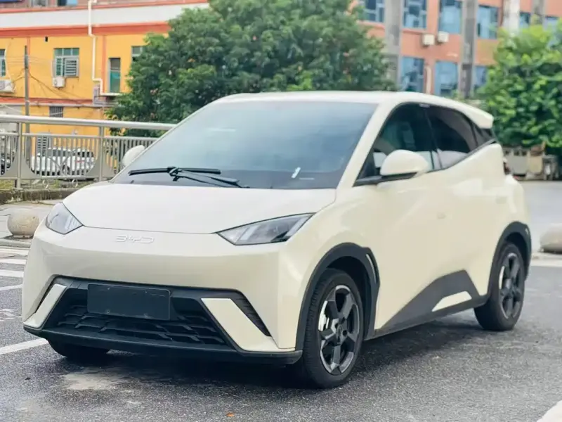 BYD Seagull, 2024