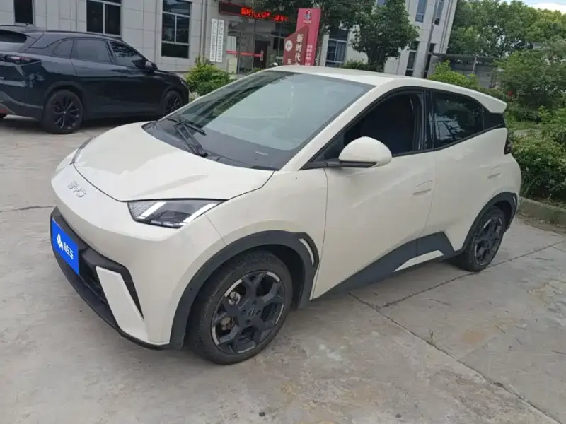 BYD Seagull, 2024