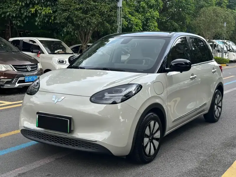 Wuling Bingo, 2023