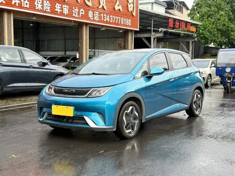 BYD Dolphin, 2023