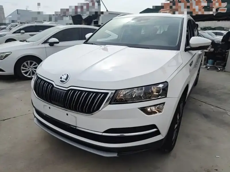 Skoda Karoq, 2019