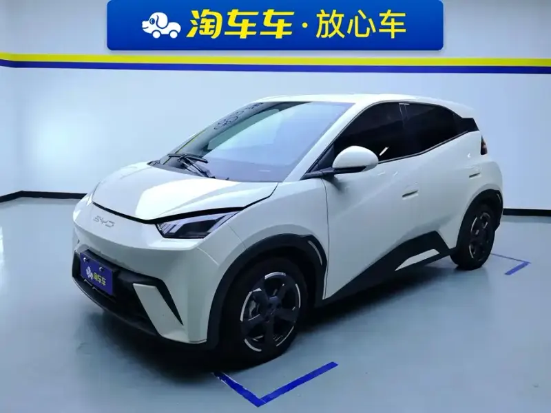 BYD Seagull, 2024