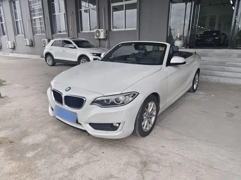 BMW 2 Series (Import), 2016