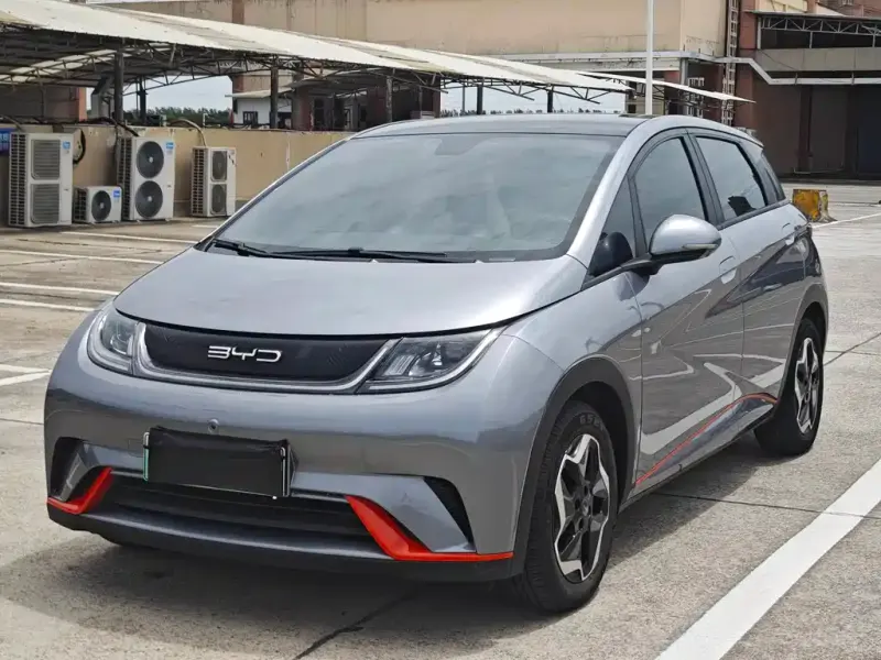 BYD Dolphin, 2022