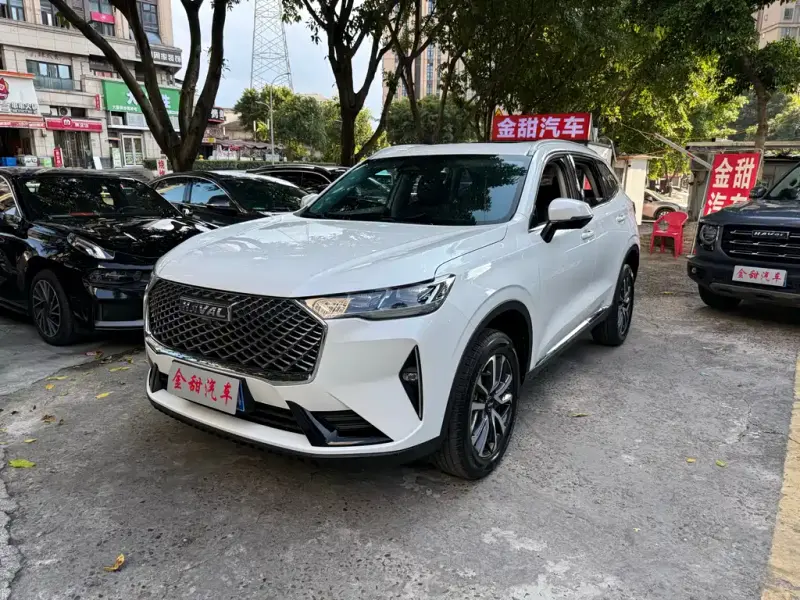 Haval H6, 2022