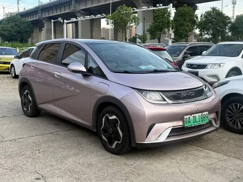 BYD Dolphin, 2022