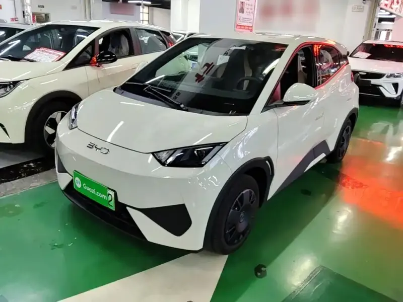 BYD Seagull, 2026